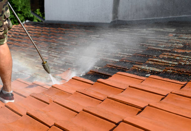 Best Sidewalk Pressure Washing  in Salisbury, NY